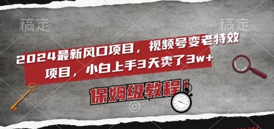 2024最新风口项目，视频号变老特效项目，电脑小白上手3天卖了3w+，保姆级教程【揭秘】-夜影资源