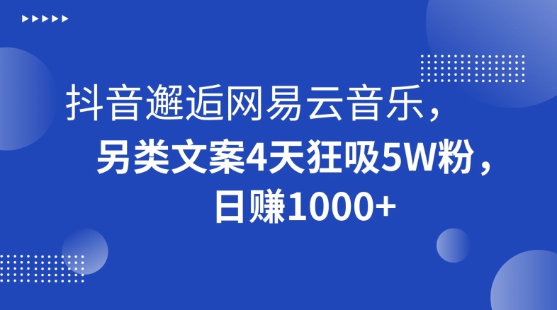 抖音邂逅网易云音乐，另类文案4天狂吸5W粉，日赚1000+【揭秘】-夜影资源
