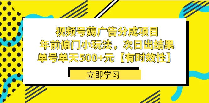 （8527期）视频号薅广告分成项目，年前偏门小玩法，次日出结果，单号单天500+元【…-夜影资源