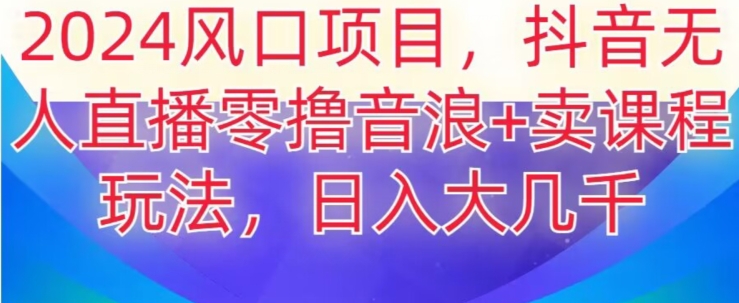 2024风口项目，抖音无人主播撸音浪+卖课程玩法，日入大几千【揭秘】-夜影资源