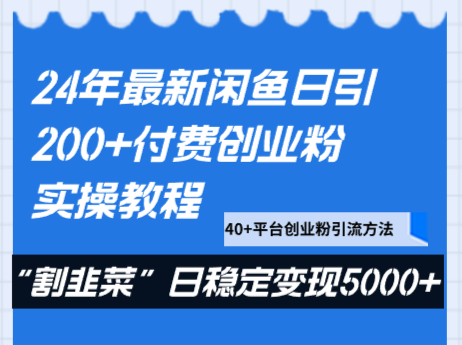 24年最新闲鱼日引200+付费创业粉，割韭菜每天5000+收益实操教程！-夜影资源