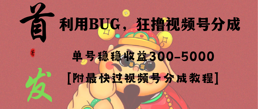 （8549期）全网独家首发，视频号BUG，超短期项目，单号每日净收益300-5000！-夜影资源
