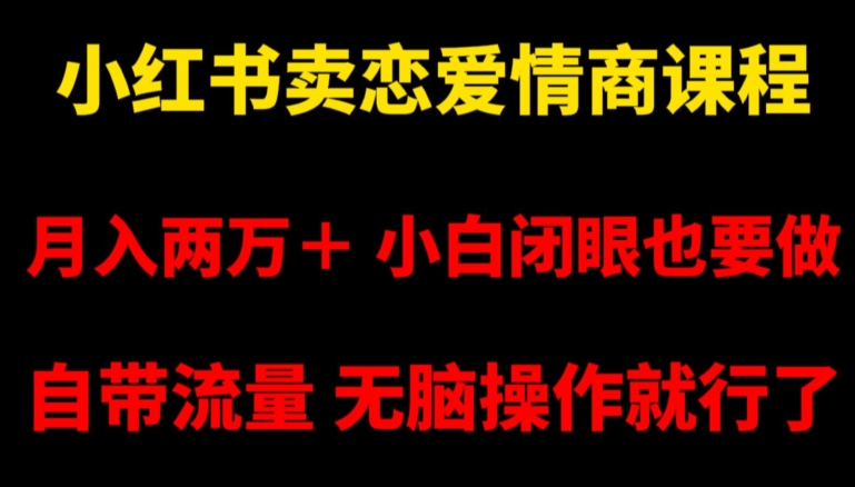 小红书卖恋爱情商课程，月入两万＋，小白闭眼也要做，自带流量，无脑操作就行了【揭秘】-夜影资源