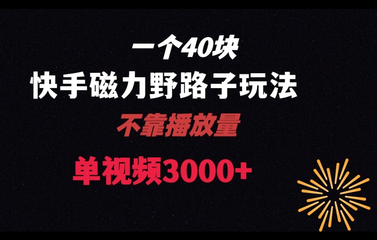 一个40块，快手联合美团磁力新玩法，无视机制野路子玩法，单视频收益4位数【揭秘】-夜影资源