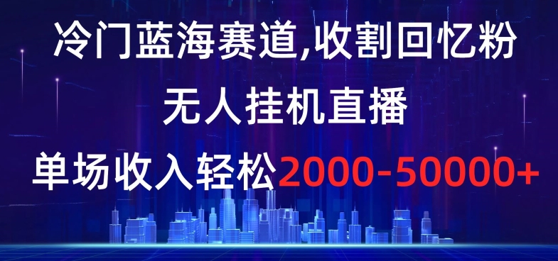 冷门蓝海赛道，收割回忆粉，无人挂机直播，单场收入轻松2000-5w+【揭秘】-夜影资源