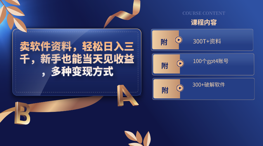 （8582期）卖软件资料，轻松日入三千，新手也能当天见收益，多种变现方式，（附300…-夜影资源