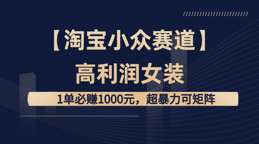 （8608期）【淘宝小众赛道】高利润女装：1单必赚1000元，超暴力可矩阵-夜影资源