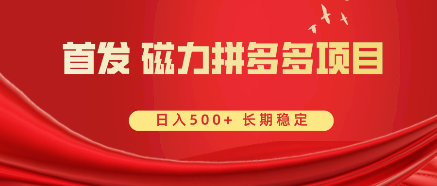 （8611期）首发 磁力拼多多自撸  日入500+-夜影资源