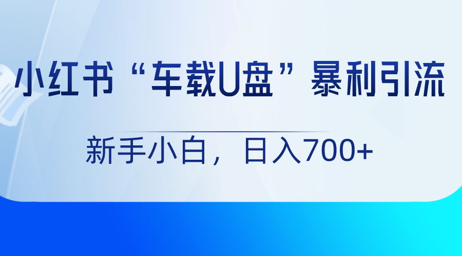 小红书“车载U盘”项目，暴利引流，新手小白轻松日入700+-夜影资源