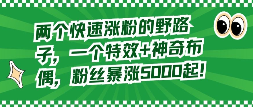 两个快速涨粉的野路子，一个特效+神奇布偶，粉丝暴涨5000起-夜影资源
