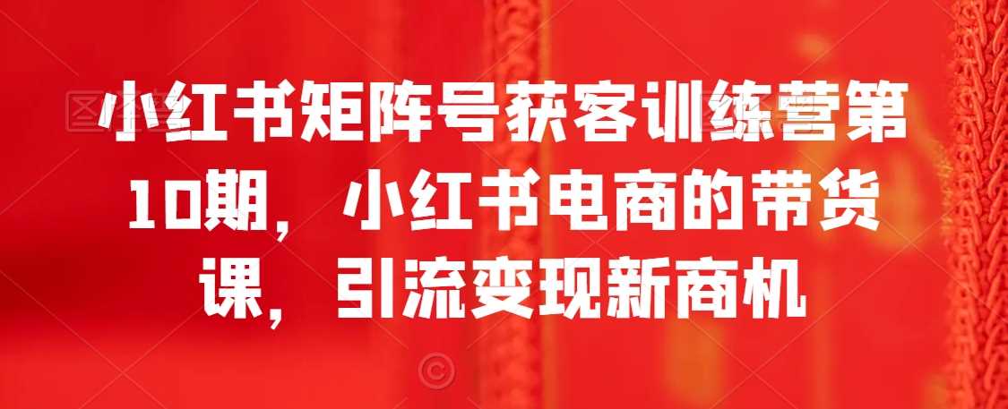 小红书矩阵号获客训练营第10期，小红书电商的带货课，引流变现新商机-夜影资源