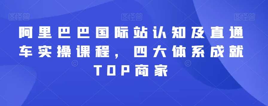 阿里巴巴国际站认知及直通车实操课程，四大体系成就TOP商家-夜影资源