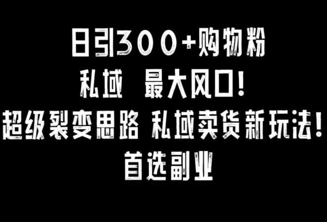 日引300+购物粉，超级裂变思路，私域卖货新玩法，小红书首选副业【揭秘】-夜影资源