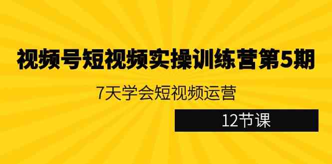 （9029期）视频号短视频实操训练营第5期：7天学会短视频运营（12节课）-夜影资源