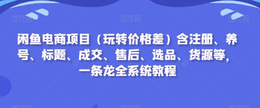 闲鱼电商项目（玩转价格差）含注册、养号、标题、成交、售后、选品、货源等，一条龙全系统教程-夜影资源