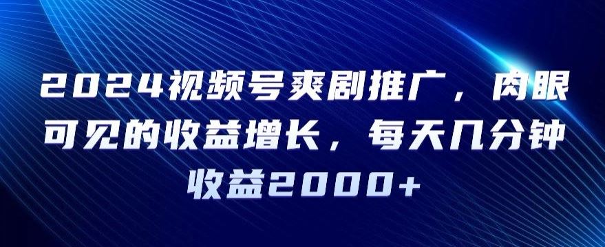 2024视频号爽剧推广，肉眼可见的收益增长，每天几分钟收益2000+【揭秘】-夜影资源
