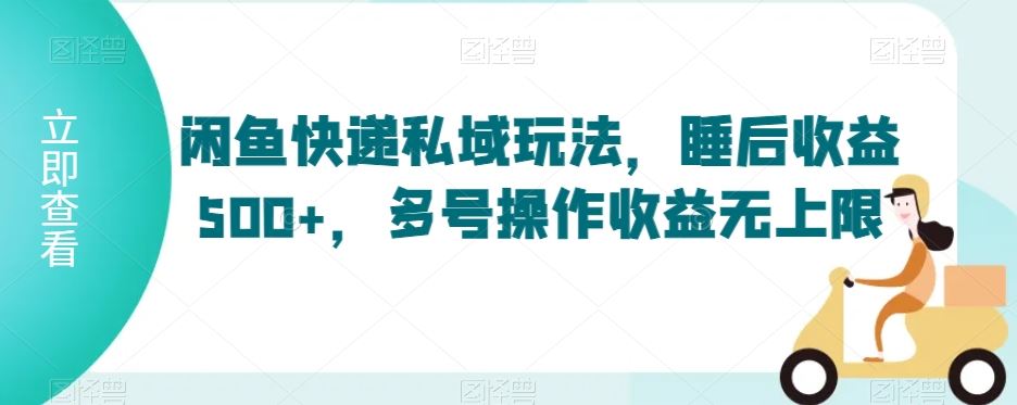 闲鱼快递私域玩法，睡后收益500+，多号操作收益无上限【揭秘】-夜影资源