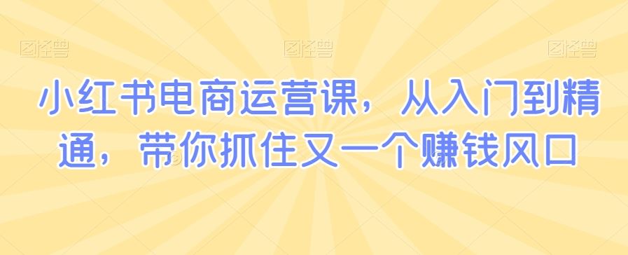小红书电商运营课，从入门到精通，带你抓住又一个赚钱风口-夜影资源