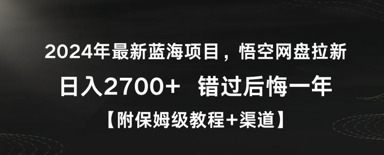 2024年最新蓝海项目，悟空网盘拉新，日入2700+错过后悔一年【附保姆级教程+渠道】【揭秘】-夜影资源