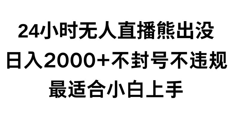 快手24小时无人直播熊出没，不封直播间，不违规，日入2000+，最适合小白上手，保姆式教学【揭秘】-夜影资源