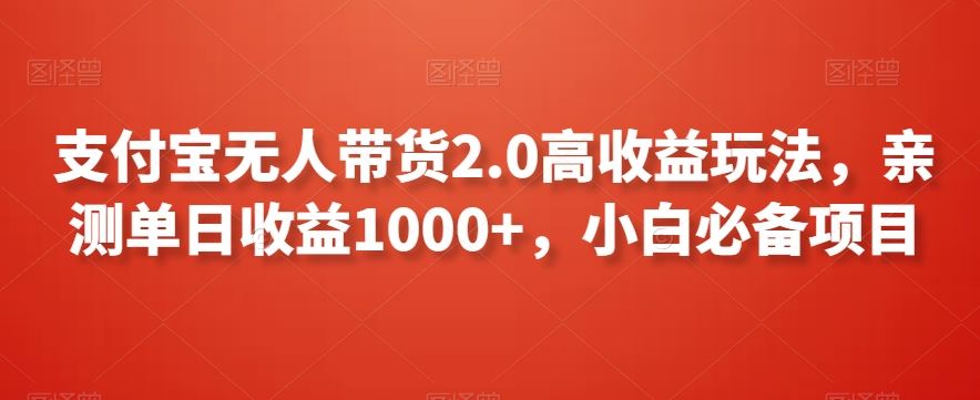 支付宝无人带货2.0高收益玩法，亲测单日收益1000+，小白必备项目【揭秘】-夜影资源