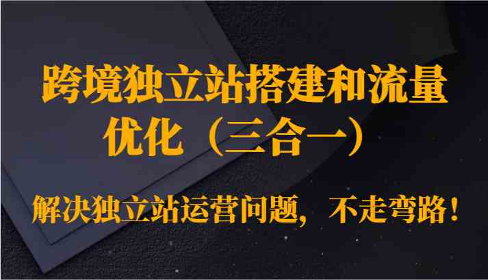跨境独立站搭建和流量优化（三合一）解决独立站运营问题，不走弯路！-夜影资源