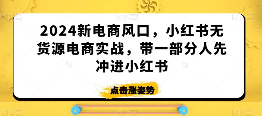 2024新电商风口，小红书无货源电商实战，带一部分人先冲进小红书-夜影资源