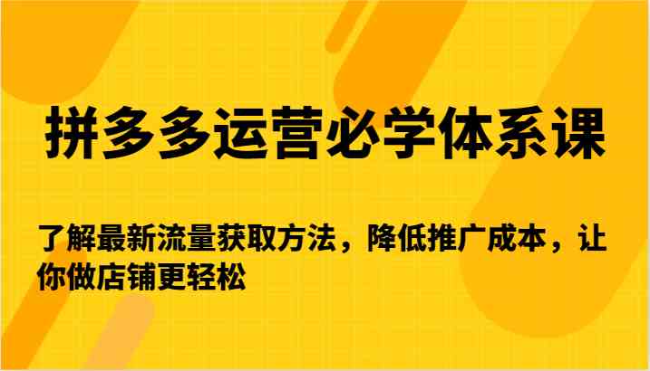 拼多多运营必学体系课-了解最新流量获取方法，降低推广成本，让你做店铺更轻松-夜影资源