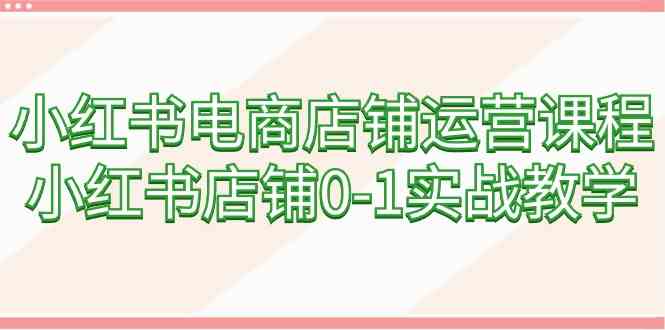 （9249期）小红书电商店铺运营课程，小红书店铺0-1实战教学（60节课）-夜影资源