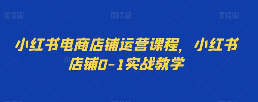 小红书电商店铺运营课程，小红书店铺0-1实战教学-夜影资源