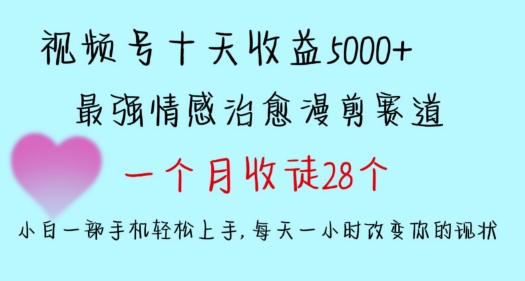 十天收益5000+，多平台捞金，视频号情感治愈漫剪，一个月收徒28个，小白一部手机轻松上手-夜影资源