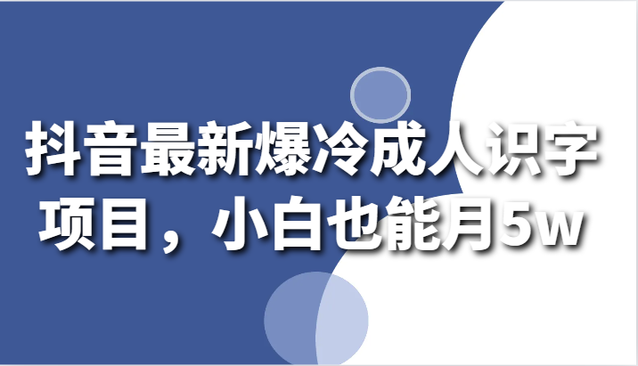 抖音最新爆冷成人识字项目，小白也能月5w-夜影资源