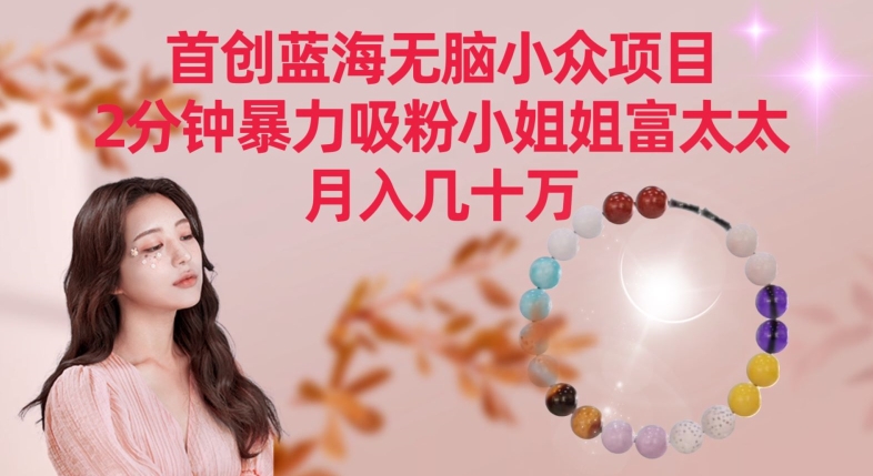 首创蓝海无脑小众项目，2分钟暴力吸粉小姐姐富太太，月入几十万-夜影资源