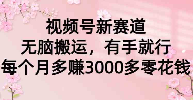 （9277期）视频号新赛道，无脑搬运，有手就行，每个月多赚3000多零花钱-夜影资源