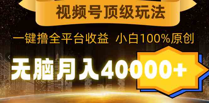 （9281期）视频号顶级玩法，无脑月入40000+，一键撸全平台收益，纯小白也能100%原创-夜影资源