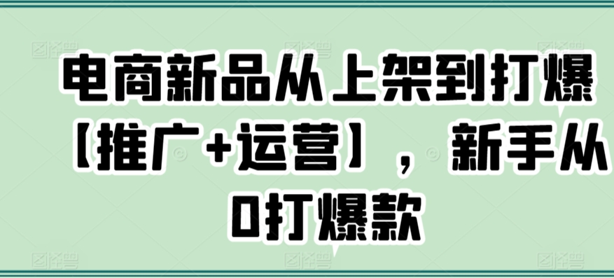 电商新品从上架到打爆【推广+运营】，新手从0打爆款-夜影资源