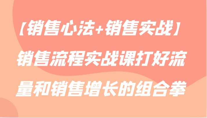 【销售心法+销售实战】销售流程实战课打好流量和销售增长的组合拳-夜影资源
