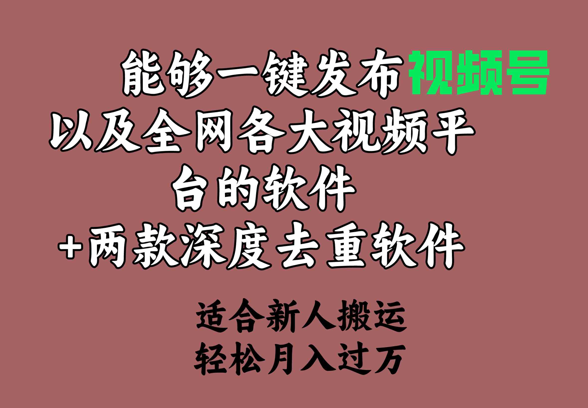 （9319期）能够一键发布视频号以及全网各大视频平台的软件+两款深度去重软件 适合…-夜影资源