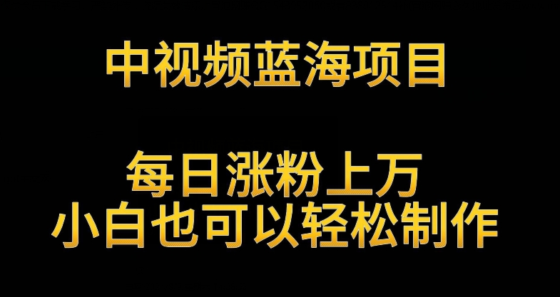 中视频蓝海项目，解读英雄人物生平，每日涨粉上万，小白也可以轻松制作，月入过万不是梦-夜影资源