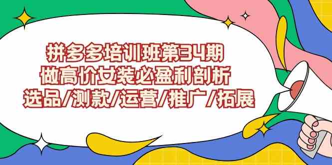 （9333期）拼多多培训班第34期：做高价女装必盈利剖析  选品/测款/运营/推广/拓展-夜影资源