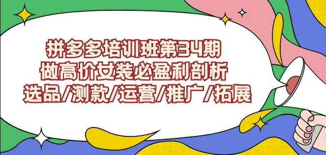 拼多多培训班第34期：做高价女装必盈利剖析选品/测款/运营/推广/拓展-夜影资源