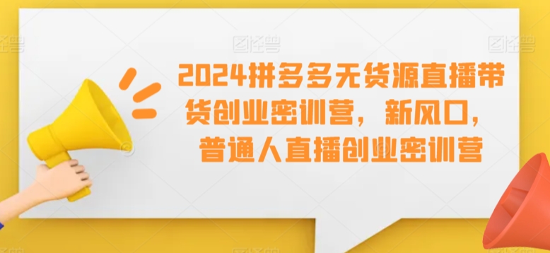 2024拼多多无货源直播带货创业密训营，新风口，普通人直播创业密训营-夜影资源