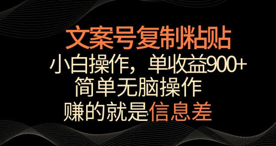 文案号掘金，简单复制粘贴，小白操作，单作品收益900+-夜影资源
