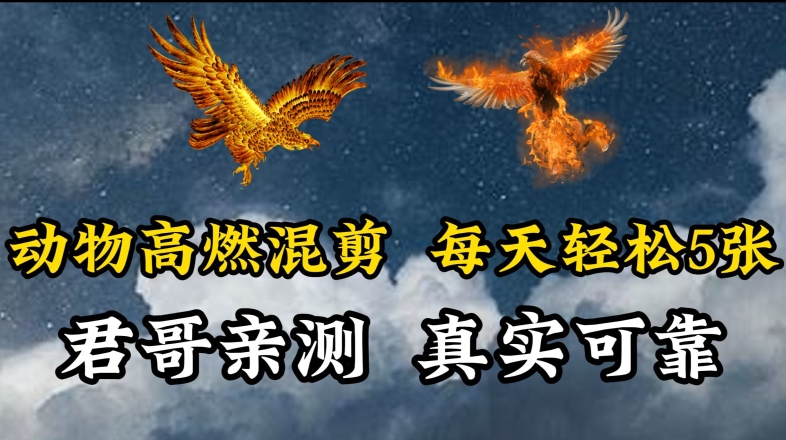 动物超燃混剪，每天轻松5张，剪辑简单大家爱看-夜影资源