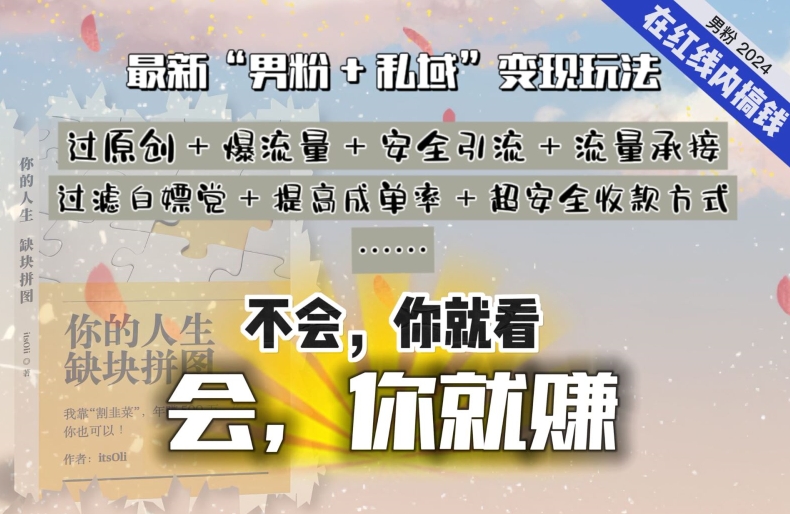 2024，“男粉+私域”还是最耐造、最赚、最轻松、最愉快的变现方式-夜影资源