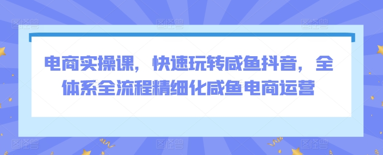 电商实操课，快速玩转咸鱼抖音，全体系全流程精细化咸鱼电商运营-夜影资源