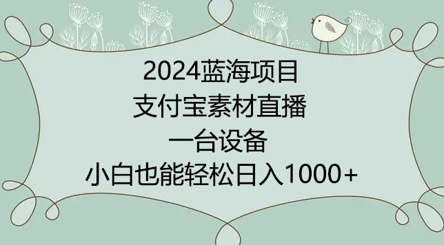 2024年蓝海项目，支付宝素材直播，无需出境，小白也能日入1000+ ，实操教程-夜影资源