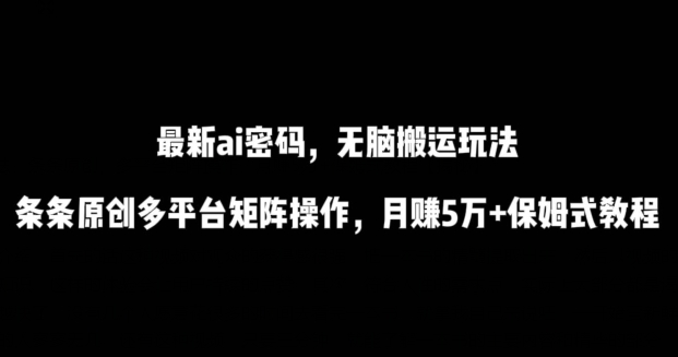 最新ai流量密码，傻瓜式搬运玩法，条条原创，多平台矩阵操作，月赚5万+保姆式教程-夜影资源