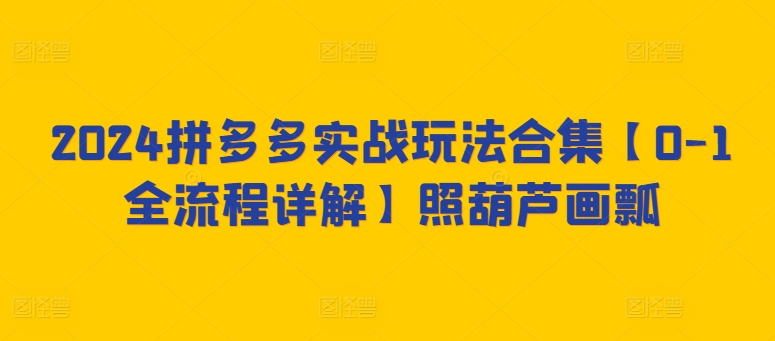 2024拼多多实战玩法合集【0-1全流程详解】照葫芦画瓢-夜影资源