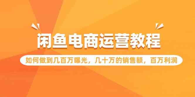 （9560期）闲鱼电商运营教程：如何做到几百万曝光，几十万的销售额，百万利润.-夜影资源